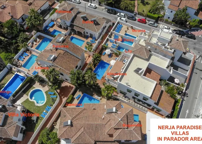 Paradise - Buganvilla *